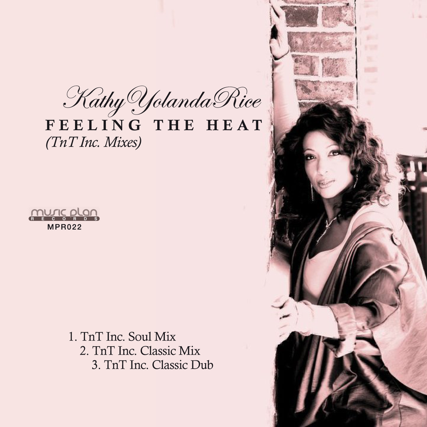 Feeling The Heat (TnT Inc. Mixes)